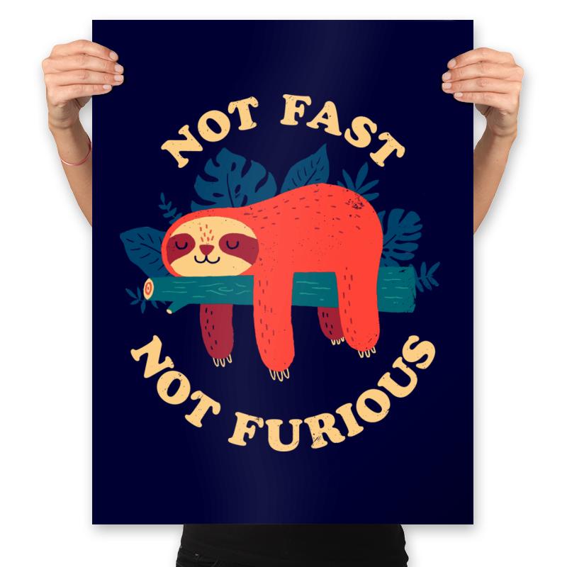 Not Fast Not Furious