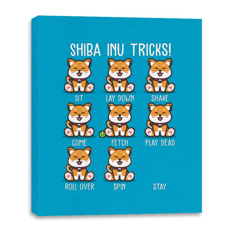 Shiba Inu Tricks