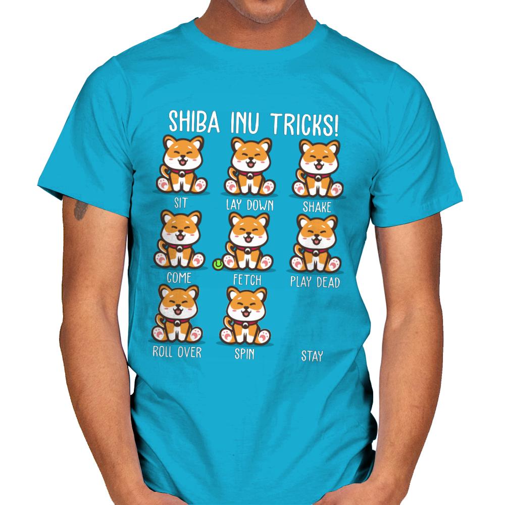Shiba Inu Tricks