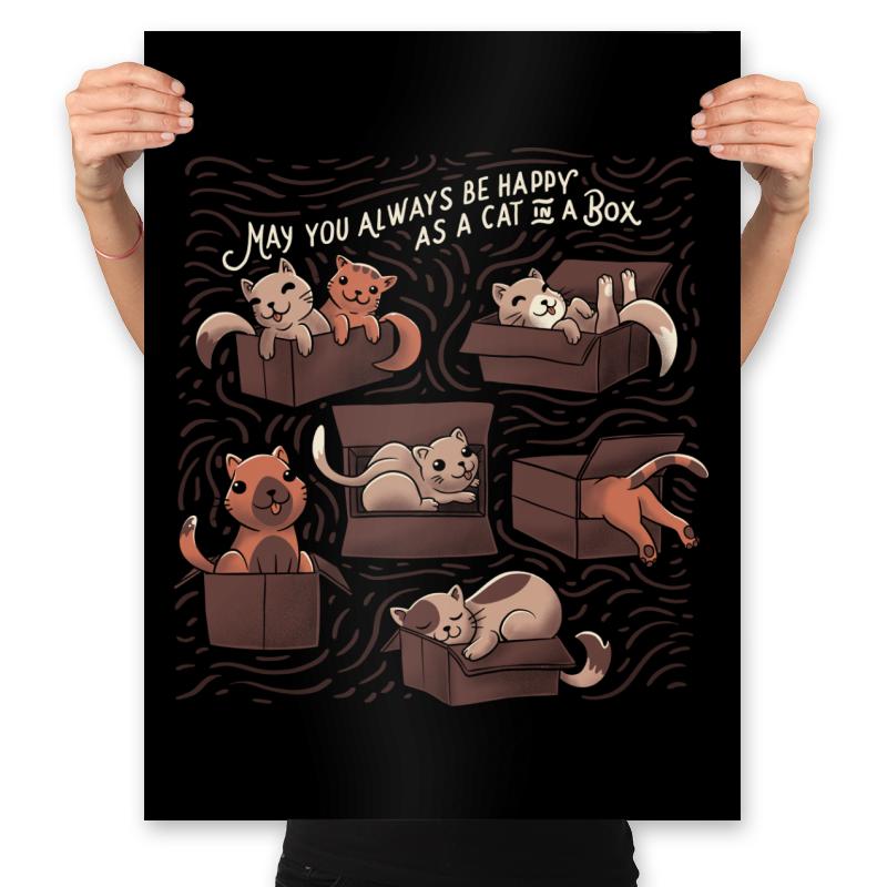 Cats in a Box