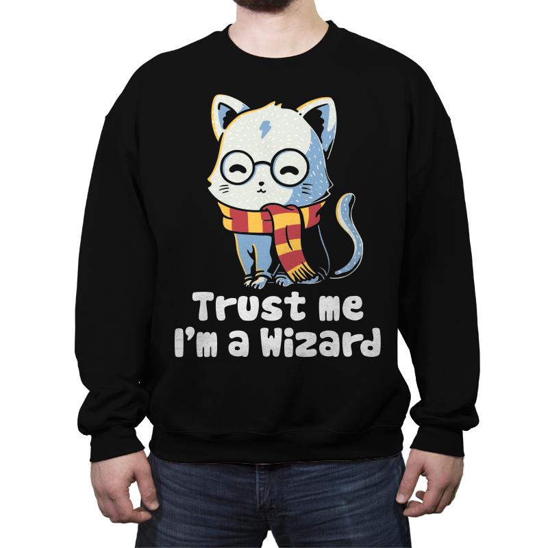 Trust me I'm a wizard