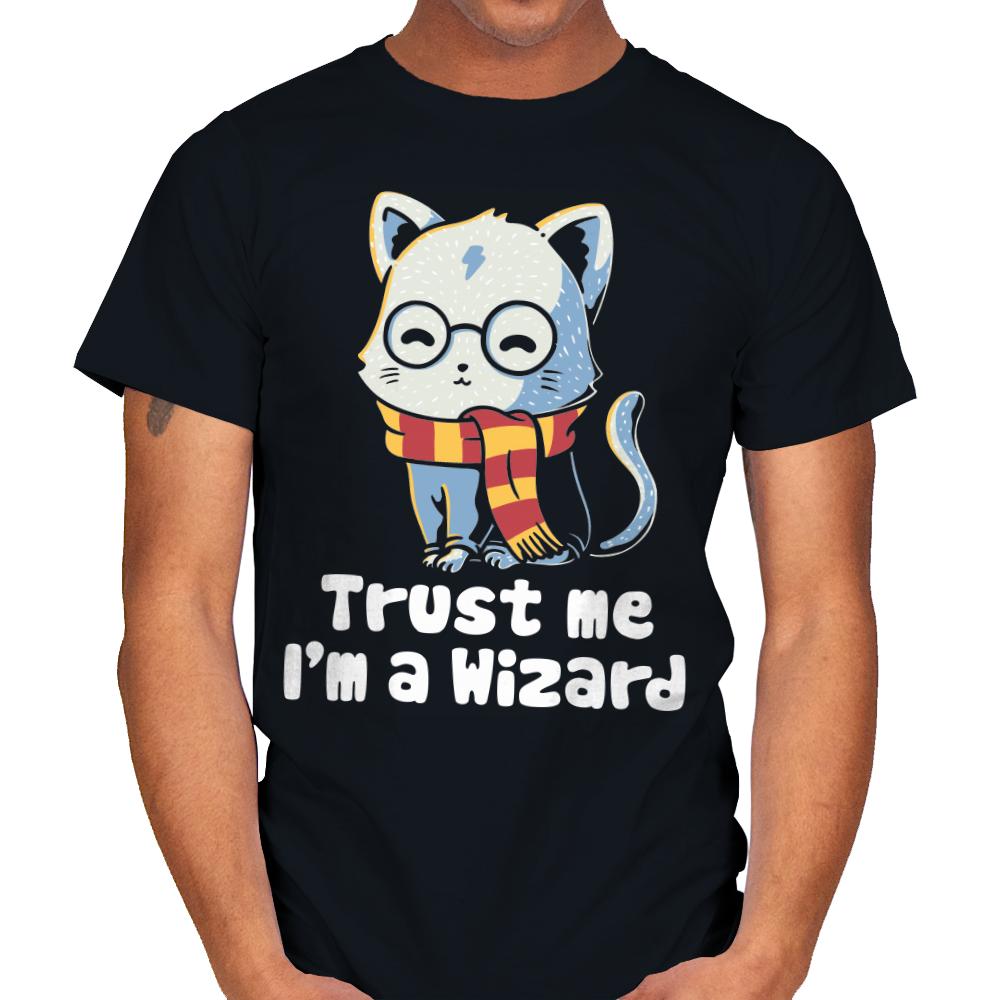 Trust me I'm a wizard