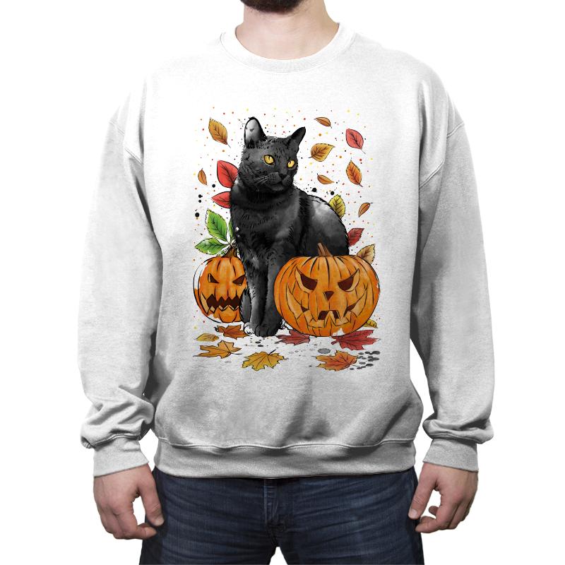 Cat Leaves and Pumpkins
