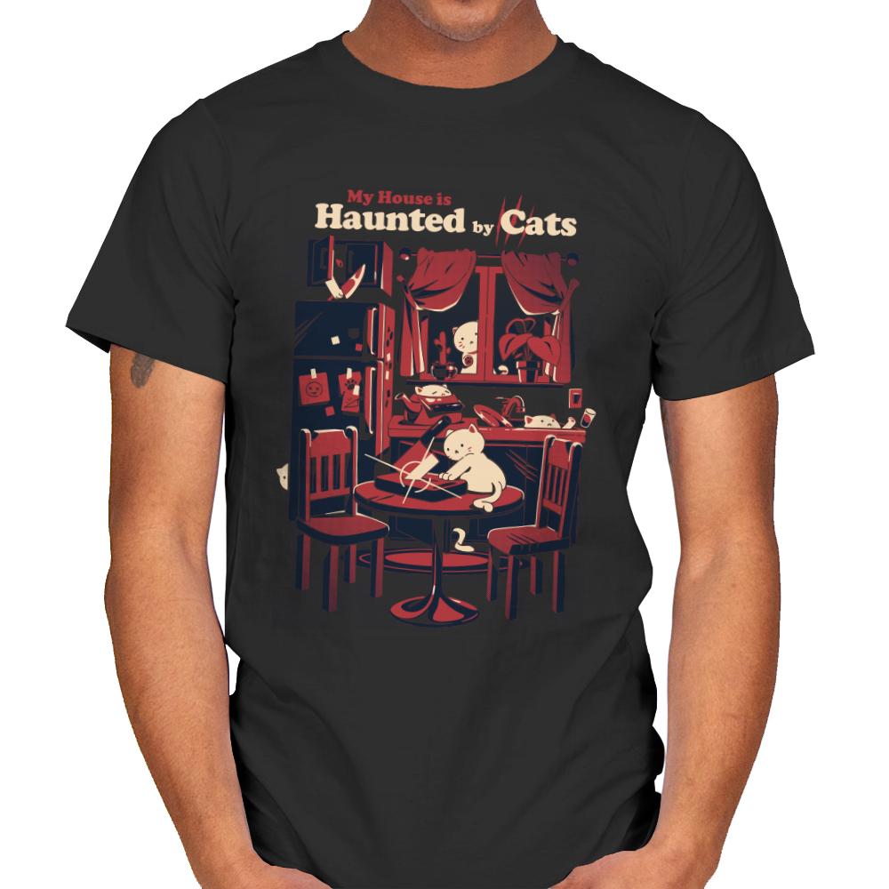Haunted by Cats