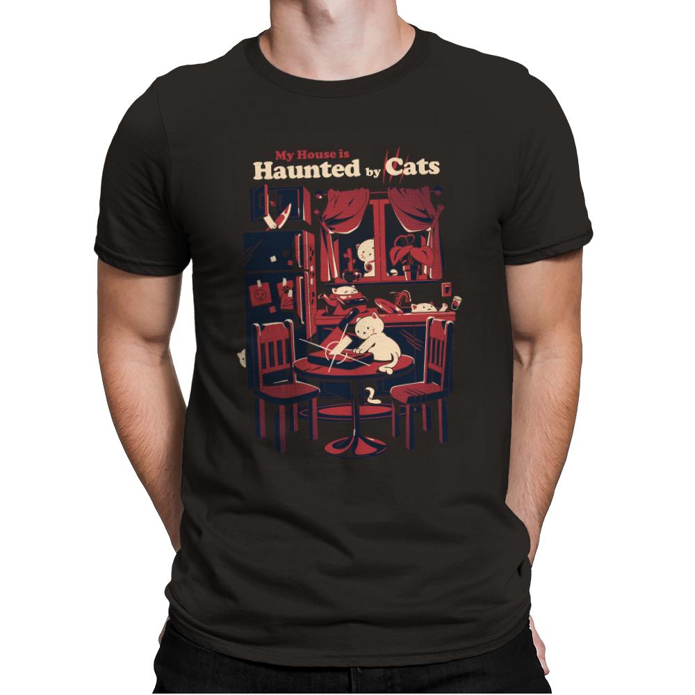Haunted by Cats