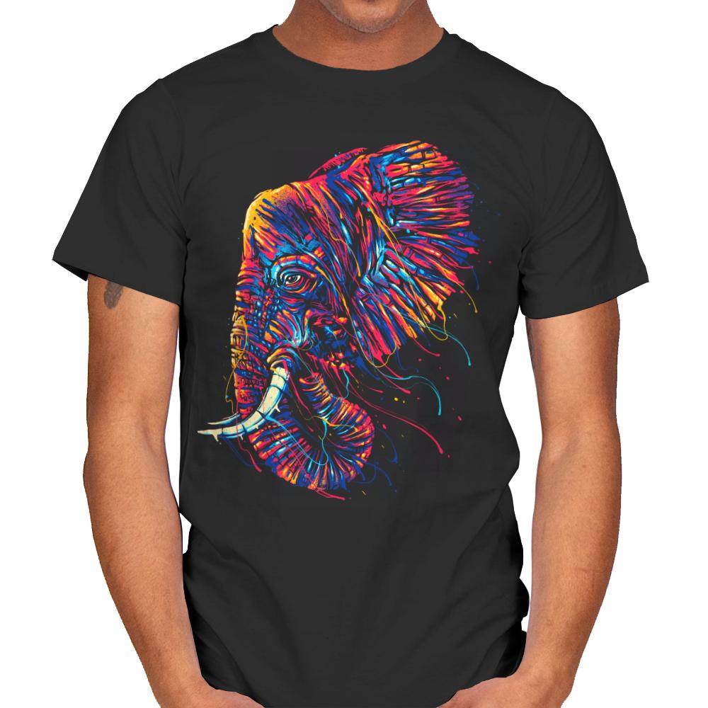Colorful Elephant