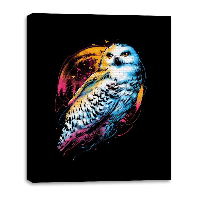 Colorful Owl