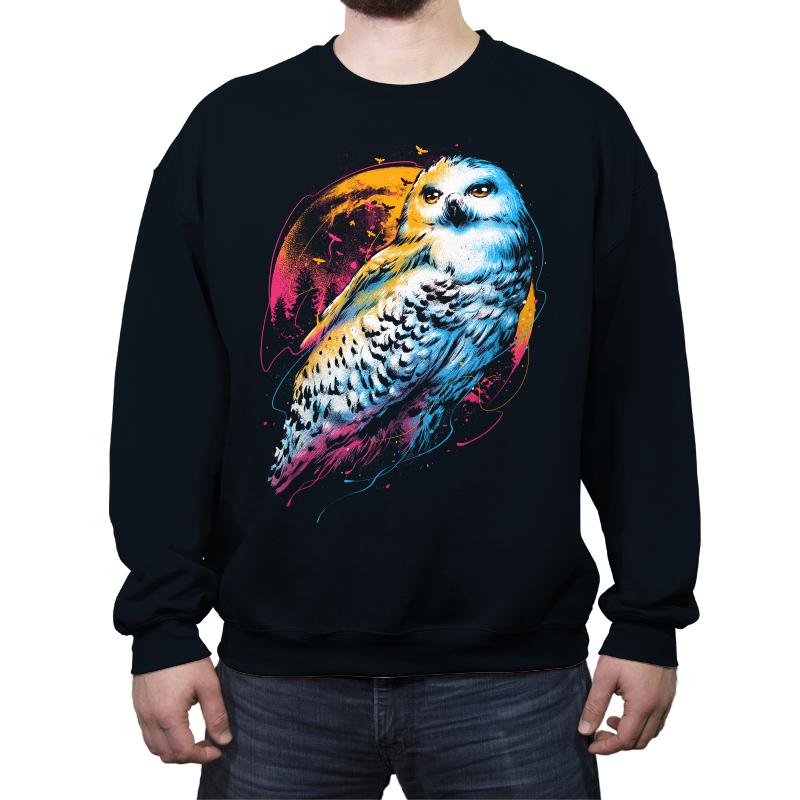 Colorful Owl