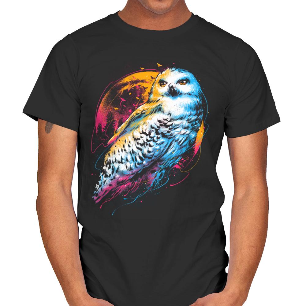Colorful Owl