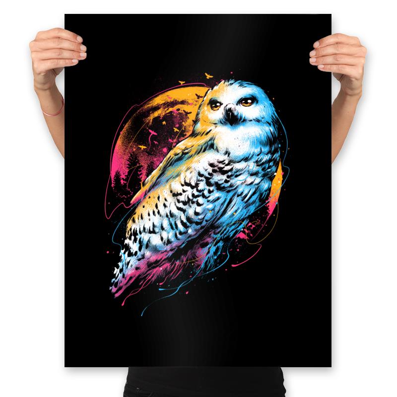 Colorful Owl