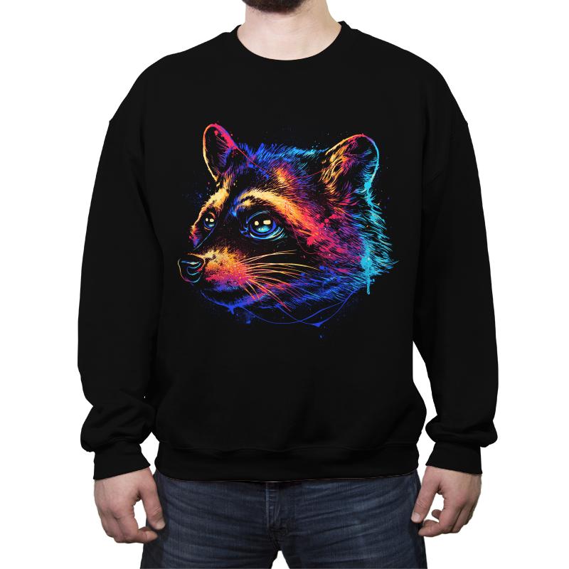 Colorful Raccoon