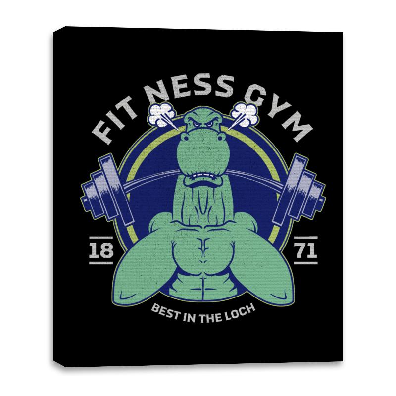 Fit Ness Gym
