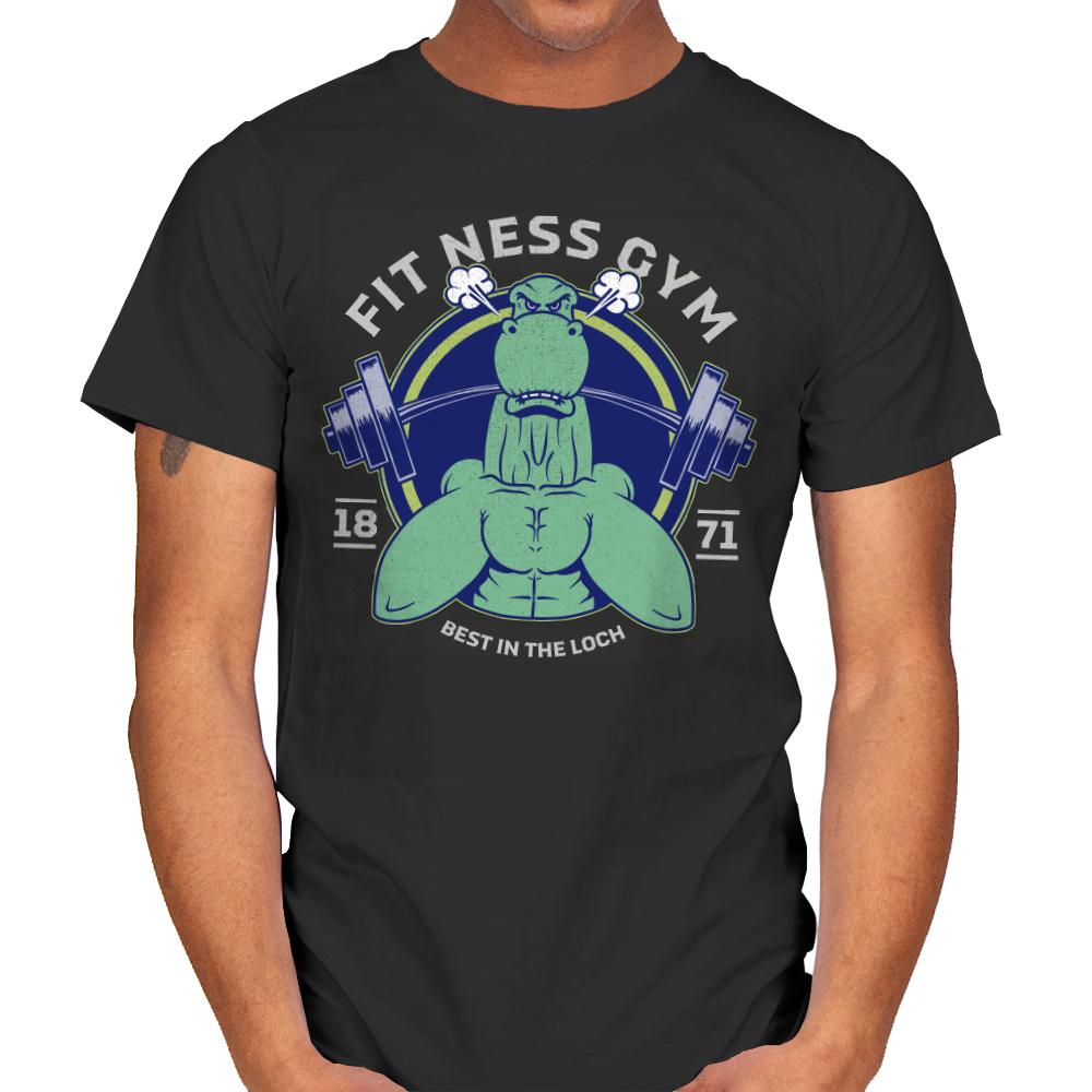 Fit Ness Gym