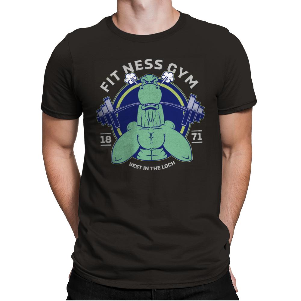Fit Ness Gym