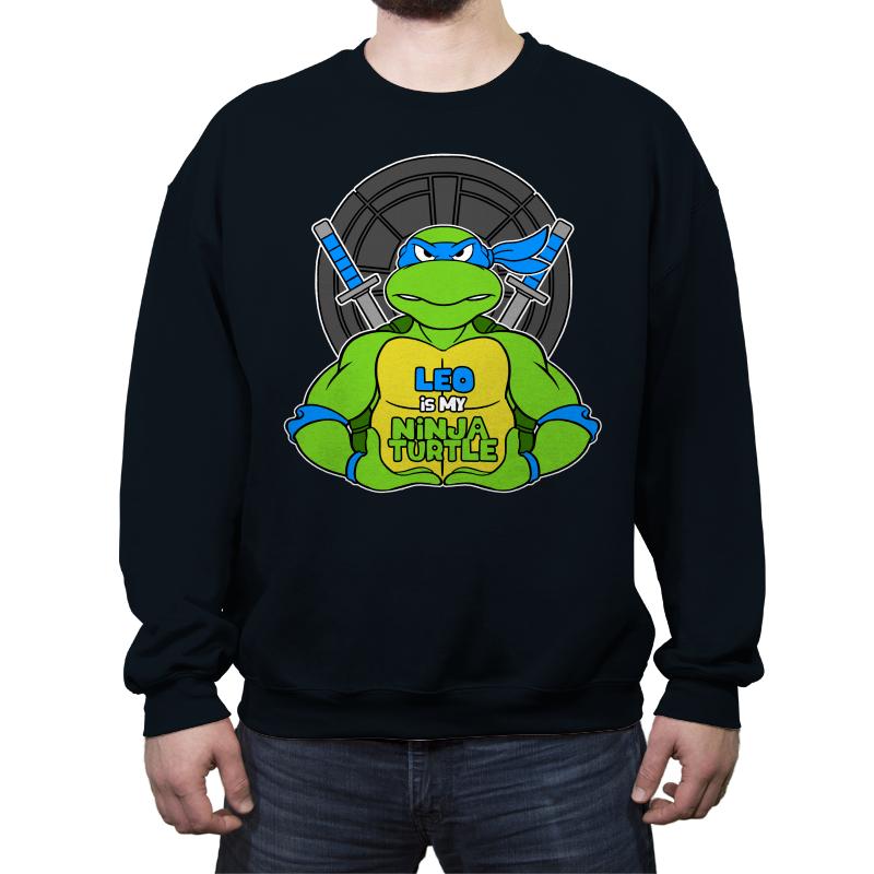 Leo is my Turtle (My Blue Ninja Turtle)