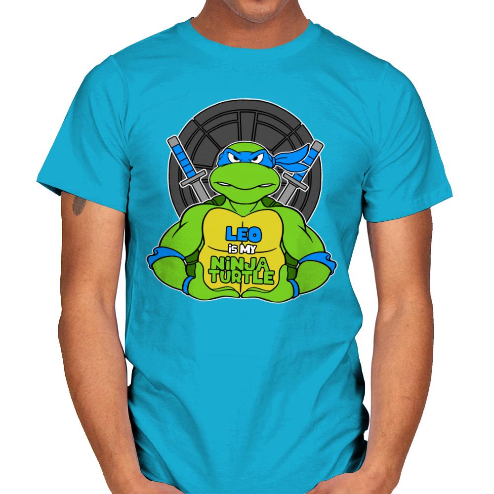 Leo is my Turtle (My Blue Ninja Turtle)