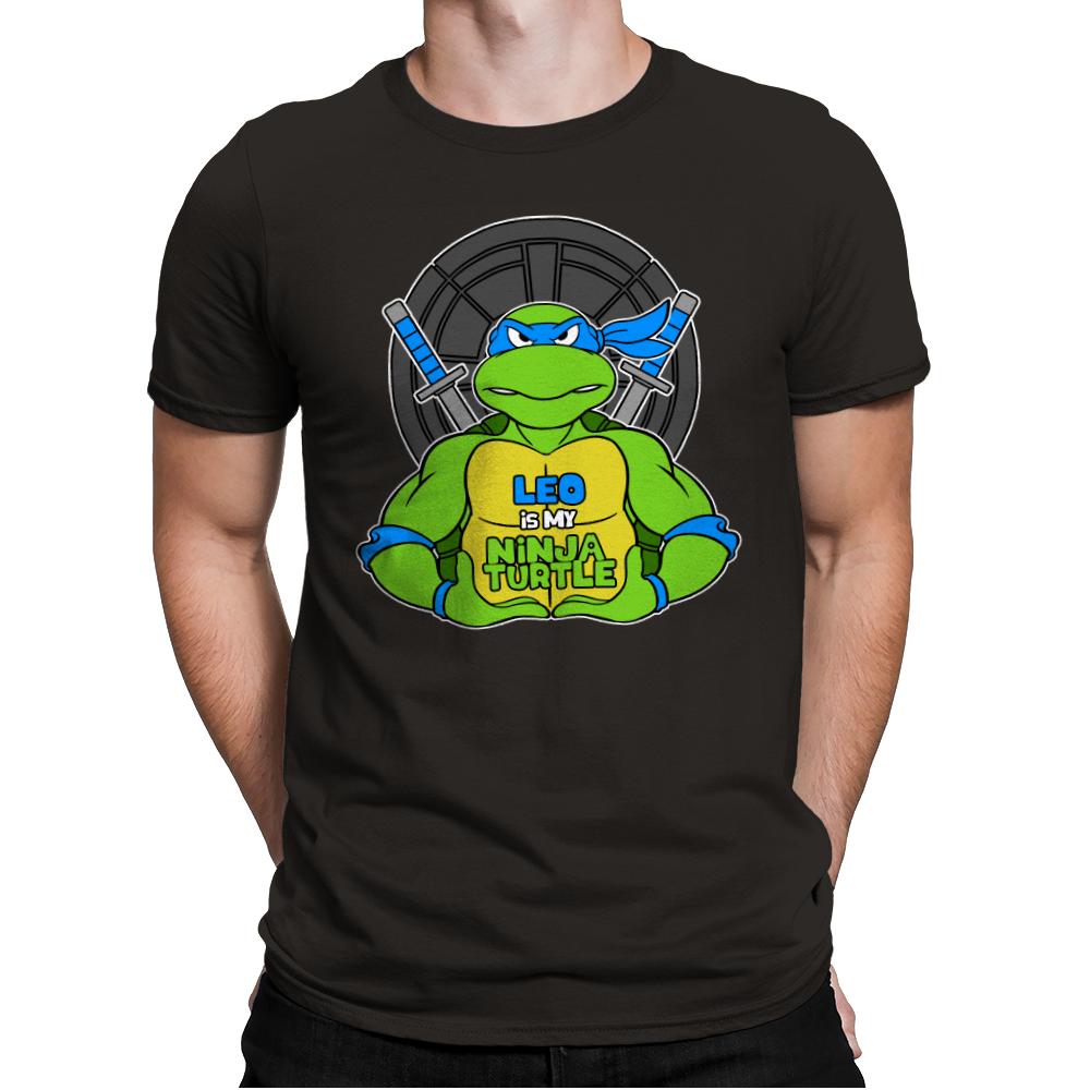 Leo is my Turtle (My Blue Ninja Turtle)