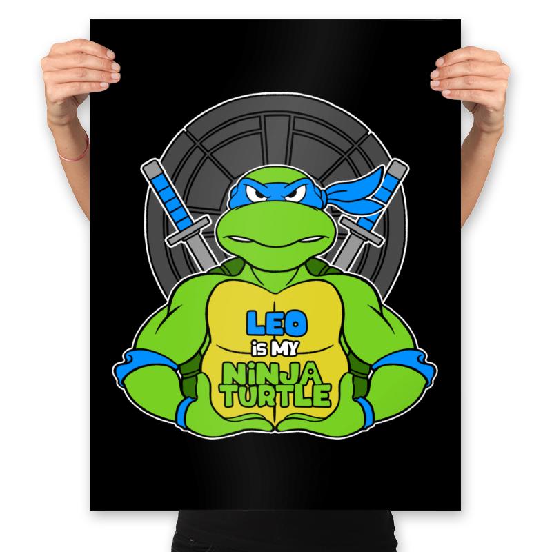 Leo is my Turtle (My Blue Ninja Turtle)