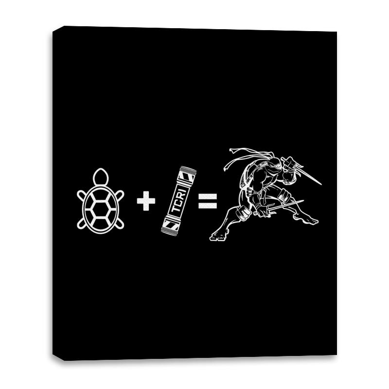 Ninja Turtle Equation
