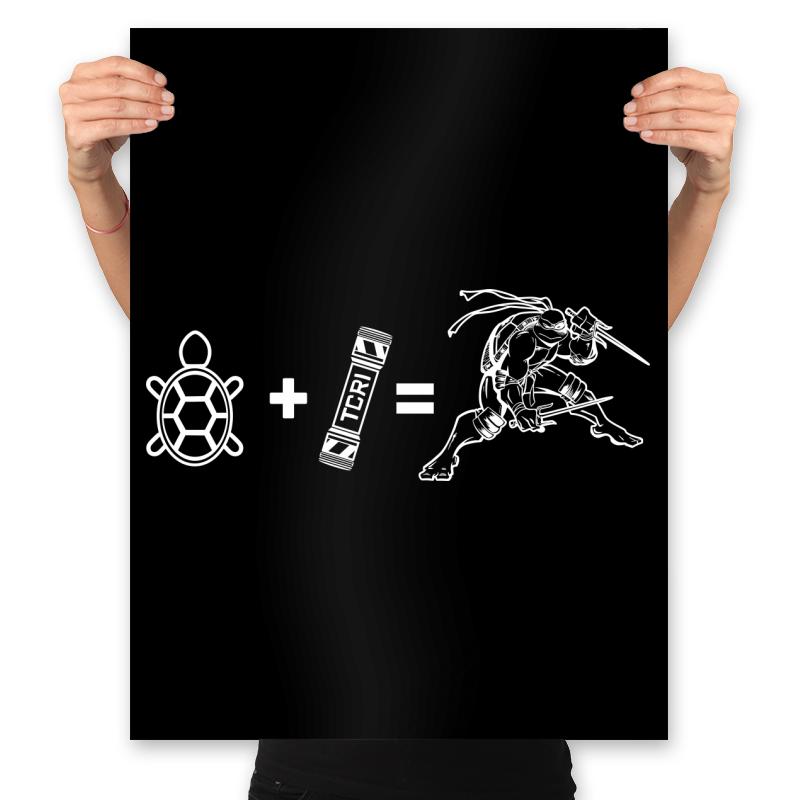 Ninja Turtle Equation