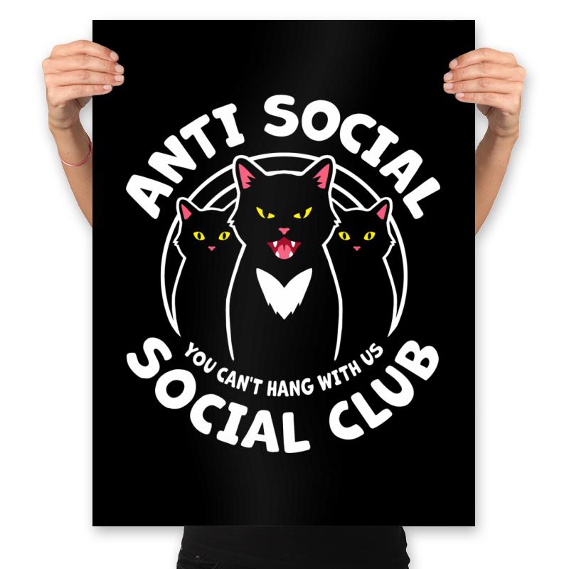 Cool Cats