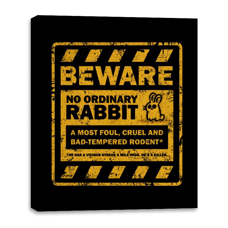 No Ordinary Rabbit