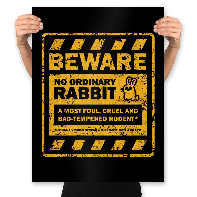 No Ordinary Rabbit