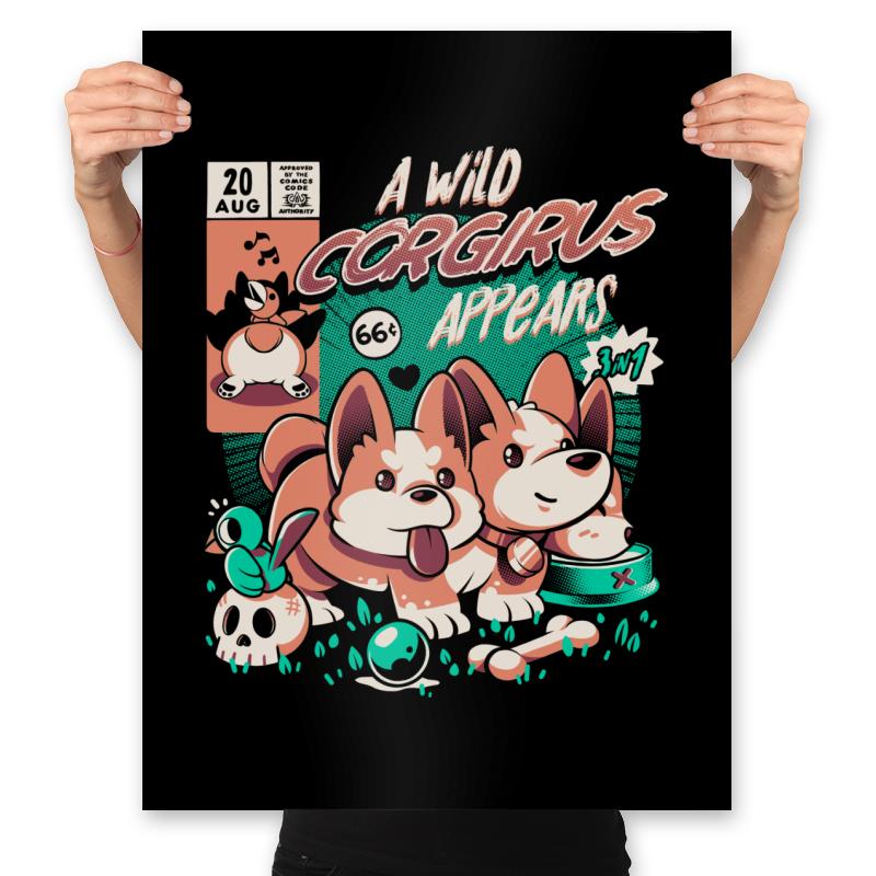Corgirus