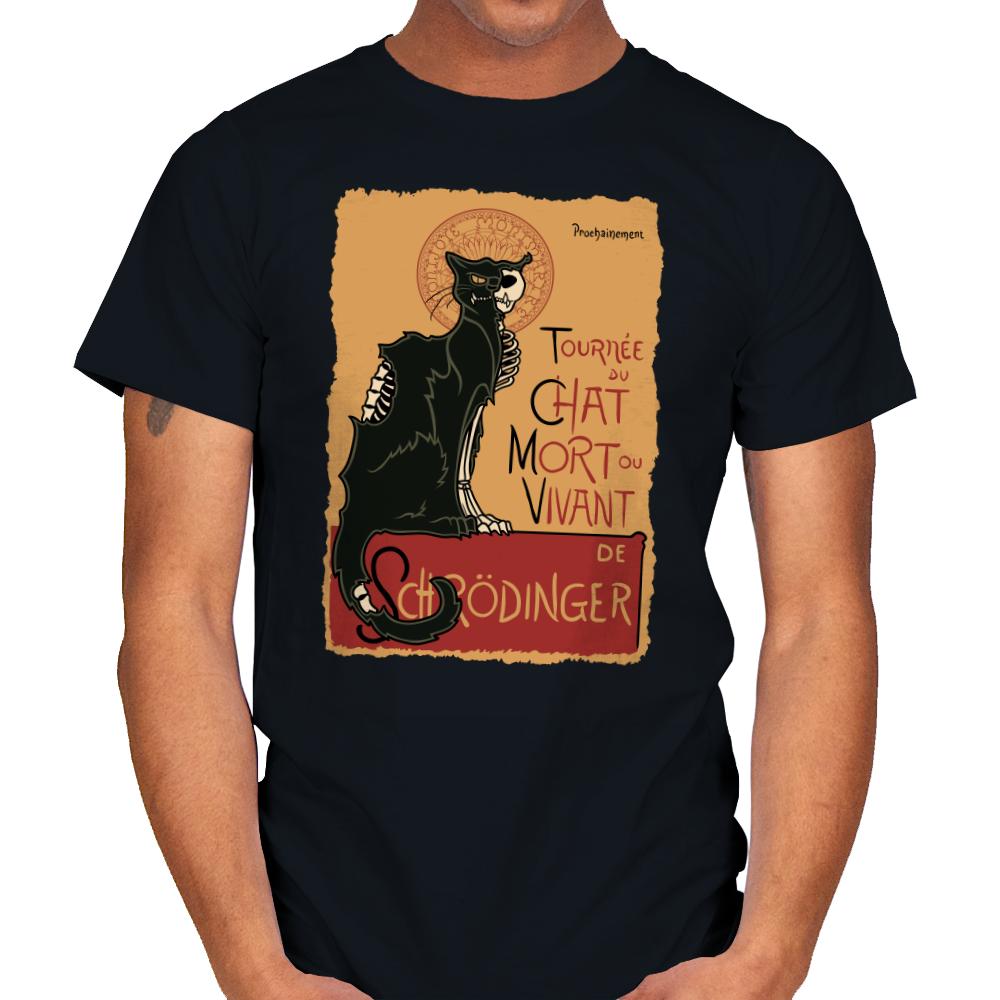 Le Chat Noir de Schrödinger