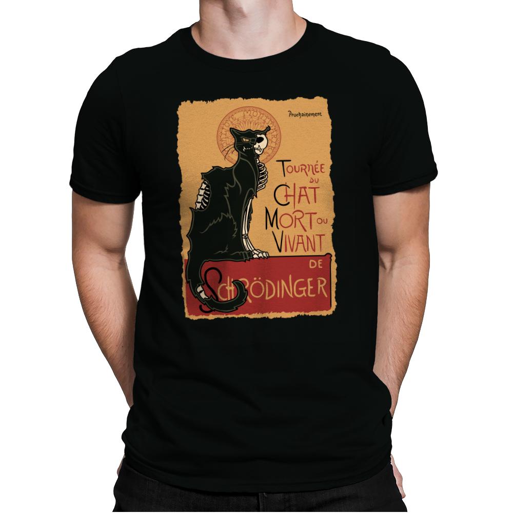 Le Chat Noir de Schrödinger