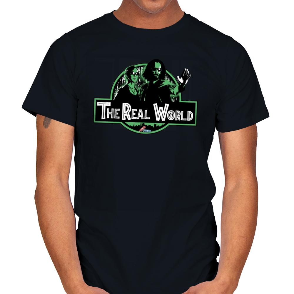 The Real World
