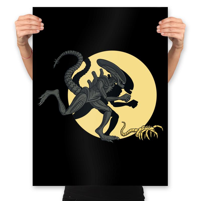 Xenomorph Adventures