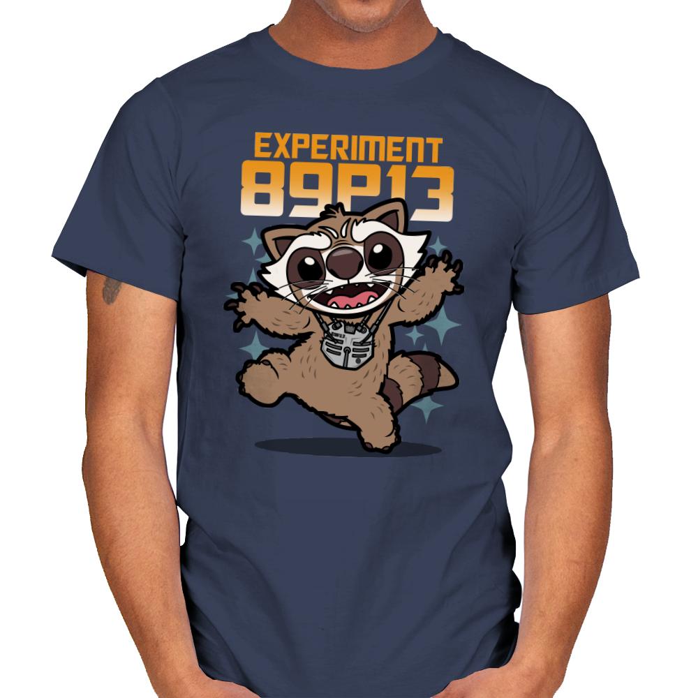 Experiment 89P13