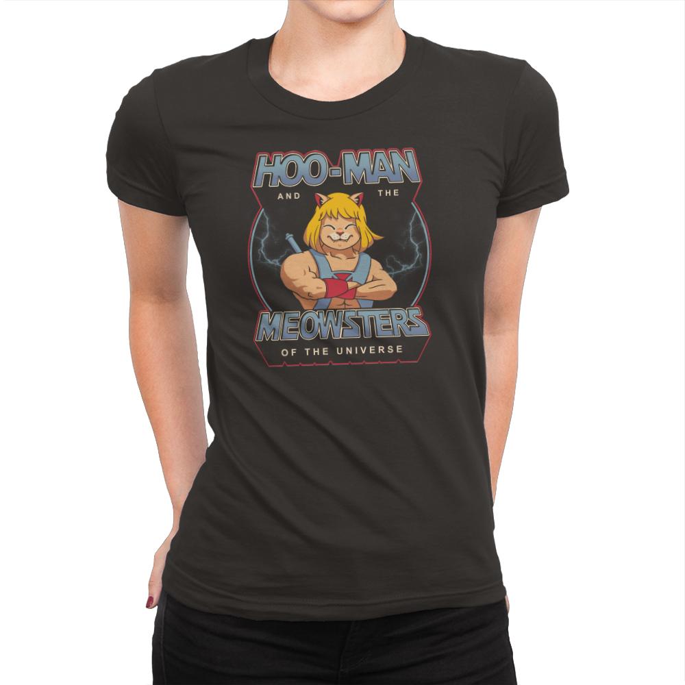Hoo-Man and the Meowsters of the Universe