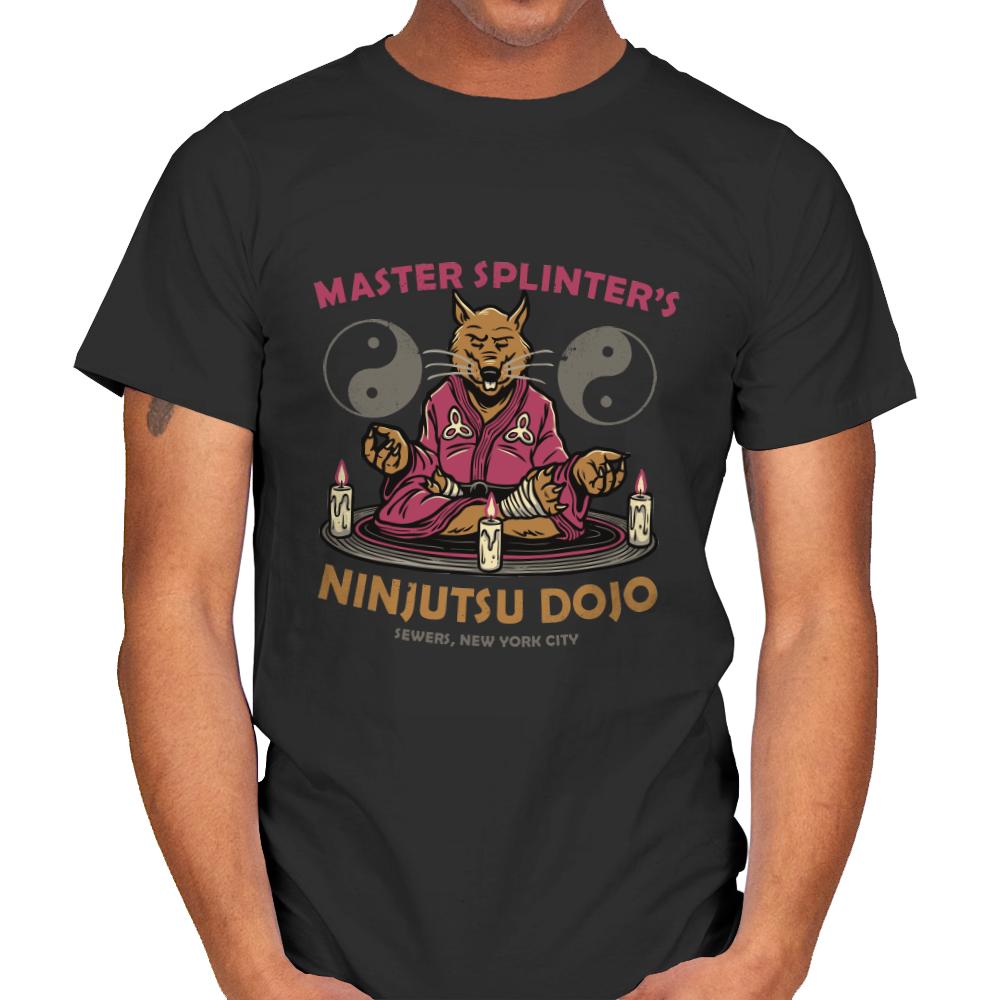 Ninjutsu Dojo