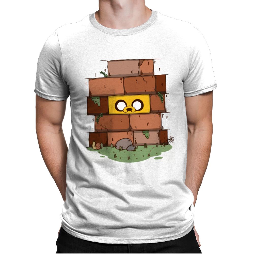 Another Brick in the Wall