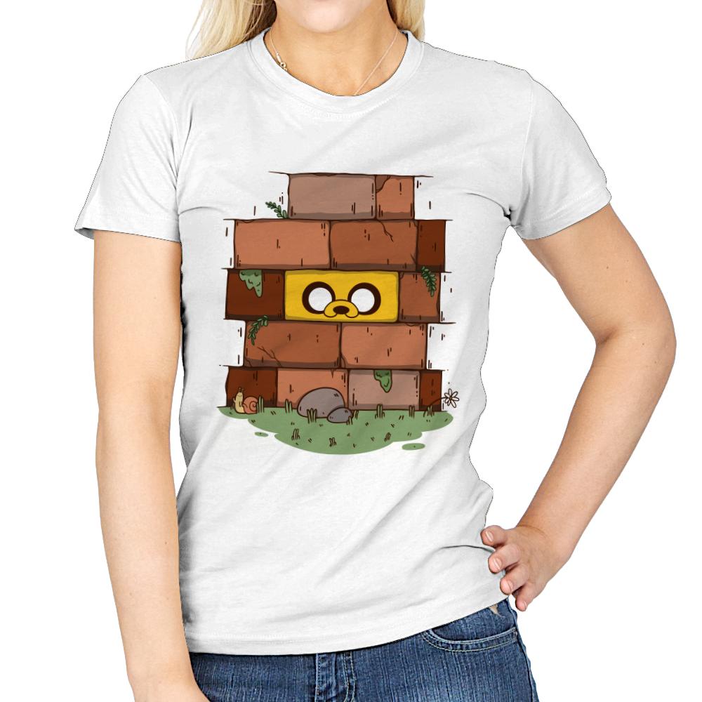 Another Brick in the Wall