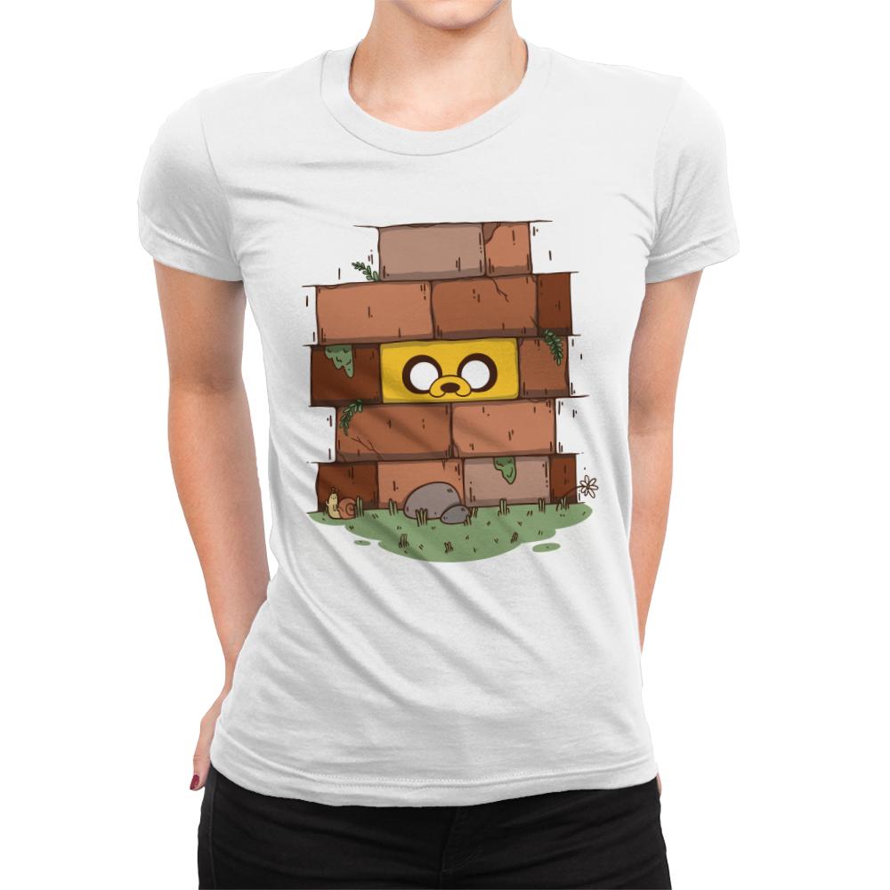 Another Brick in the Wall