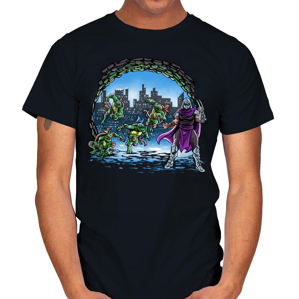 Turtles Cover