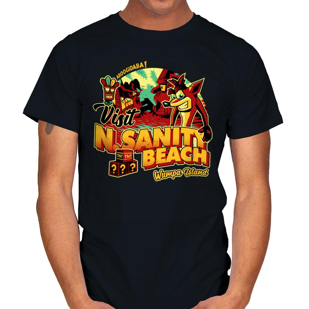 Visit N.Sane Beach
