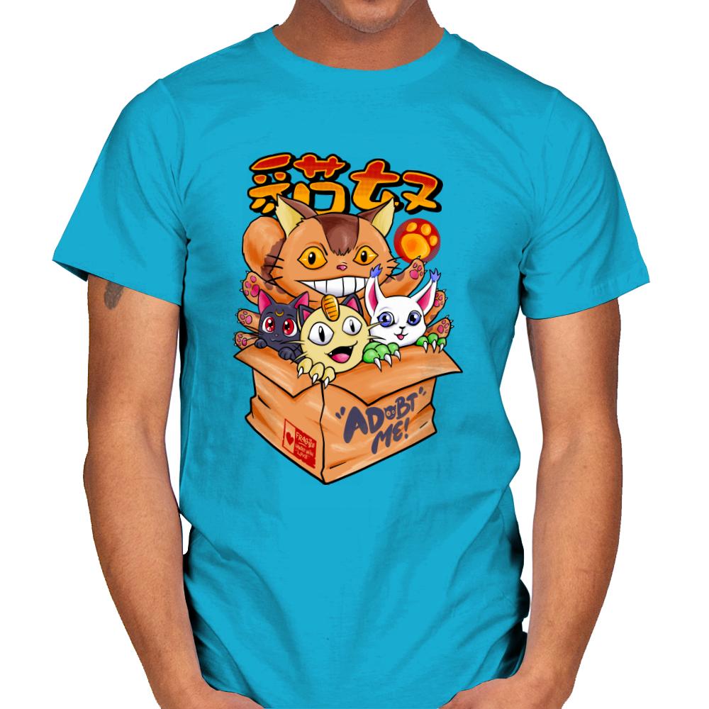 Adobt Populer Cats