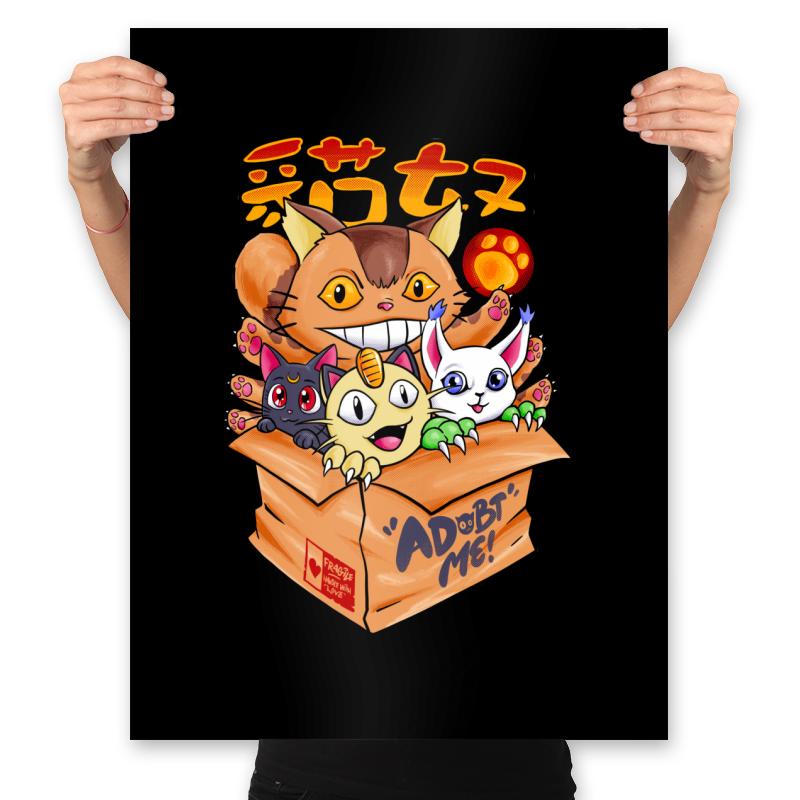 Adobt Populer Cats