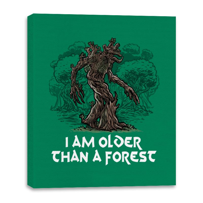 Older Than a Forest