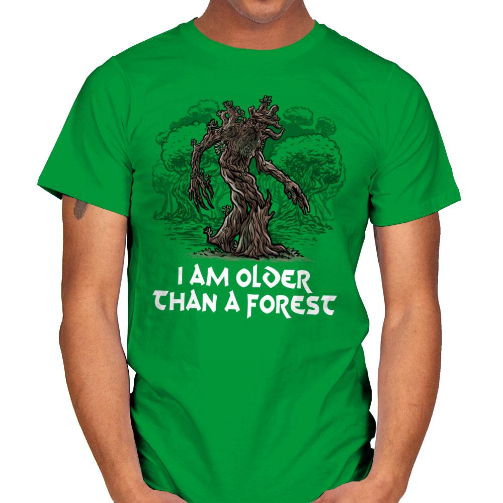 Older Than a Forest