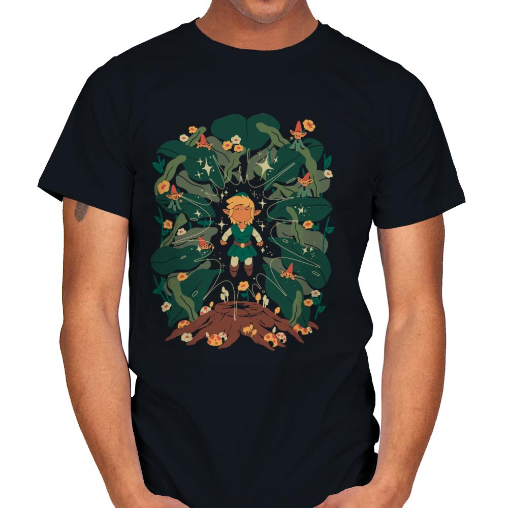 Minish Boy and Gnomes