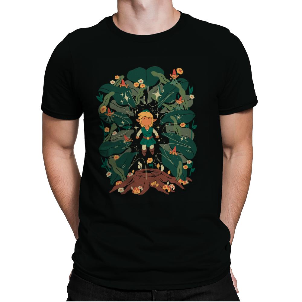 Minish Boy and Gnomes