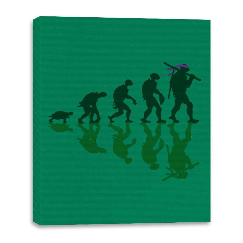 Donatello Evolution
