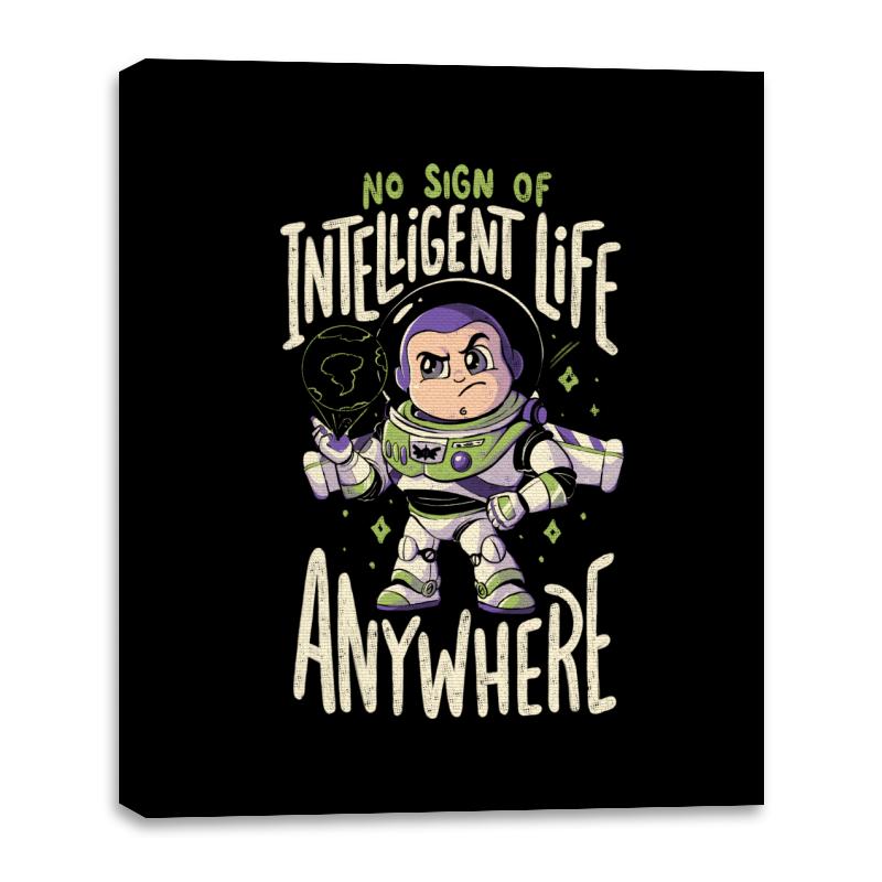 No Sign of Intelligent Life