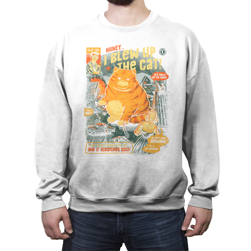 Honey I Blew Up The Cat