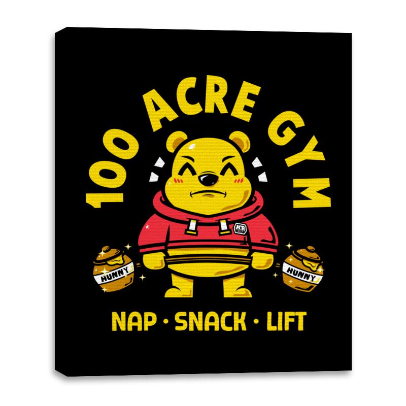 100 ACRE GYM
